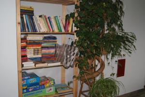 ein Bücherregal mit Büchern neben einer Pflanze in der Unterkunft U Jasia - Agroturystyka in Bańska Niżna