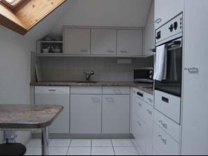 a white kitchen with white appliances and a table at Residence Kastanienbaum in Lucerne