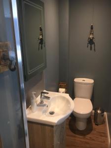 威廉堡的住宿－Fort William Studios，浴室配有白色水槽和卫生间。