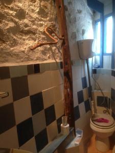 a bathroom with a toilet and a checkered wall at la luna e sei soldi in Tovo San Giacomo