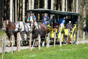 a group of people riding on a horse drawn carriage at Hotel Alpenhof in Bad Wörishofen