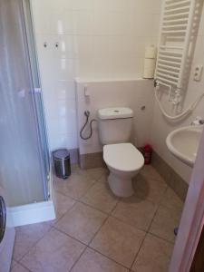 a bathroom with a toilet and a shower and a sink at Farma Ranch Jelemek in Nebahovy