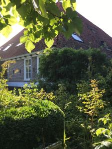 una casa con un montón de arbustos delante de ella en B&B De Pauw - Country Home Cooking, en Graft