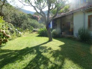 Zahrada ubytování Casa Puccini B&B Maratea