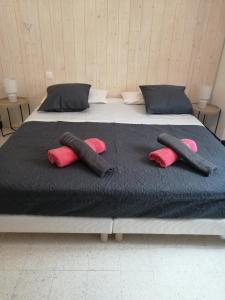 Una cama con dos almohadas rosas encima. en La Maison CANTHEZ Wifi en Sigean