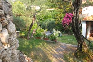 Zahrada ubytování Casa Puccini B&B Maratea