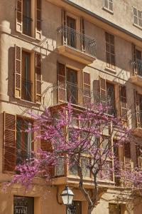 Foto dalla galleria di Vila Damunt a Palma de Mallorca