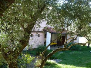 Zahrada ubytování Casa Puccini B&B Maratea