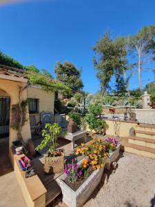 un jardín con flores y plantas en un patio en 1262 Chemin des Pignatelles en La Motte