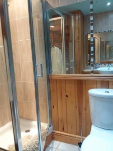 a bathroom with a shower and a toilet at Gorse Grove Kirby Hill - B&B in Richmond