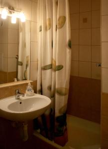 a bathroom with a sink and a shower curtain at Margaret Bridge Studio Apartment in Budapest