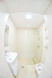 un bagno bianco con lavandino e WC di Dimitrie Cantemir Residence a Braşov