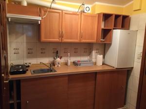 a kitchen with wooden cabinets and a sink and a refrigerator at Podjazd in Sopot