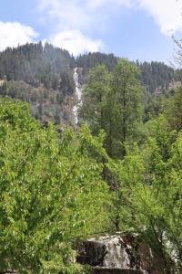 Foto da galeria de Snow River, Manali em Manali