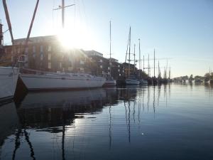 un grupo de barcos están atracados en un puerto en Eclipse of the sun, en Greifswald