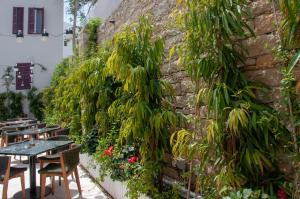 Κήπος έξω από το S Paul City Hotel