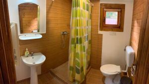 a bathroom with a sink and a toilet and a shower at Casutele Suhardul Mic in Lacu Rosu +46 photos