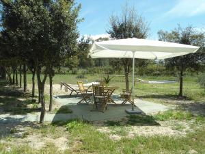 A garden outside Tra Mare e Monti