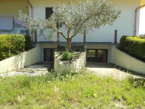 A garden outside Tra Mare e Monti