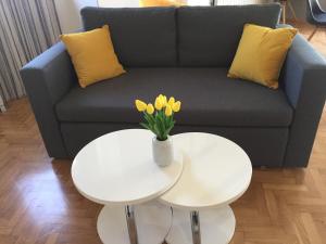 Posedenie v ubytovaní Apartman studio SONAS 3 with free private parking