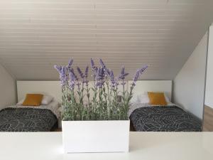 Posteľ alebo postele v izbe v ubytovaní Apartman studio SONAS 3 with free private parking