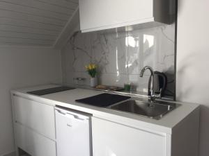 Kuchyňa alebo kuchynka v ubytovaní Apartman studio SONAS 3 with free private parking
