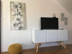 Televízia a/alebo spoločenská miestnosť v ubytovaní Apartman studio SONAS 3 with free private parking