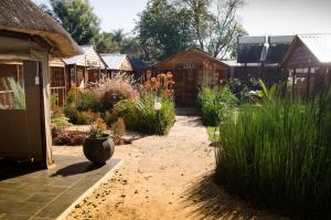 een tuin met een bos van planten en bloemen bij 1322 Backpackers International in Pretoria
