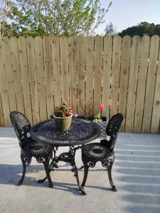 een terrastafel met twee stoelen en een potplant bij Elm Cottage in Cong
