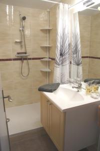 ein Bad mit einem Waschbecken und einer Dusche in der Unterkunft Le Logis du Vendangeur in Champillon