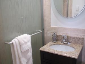 a bathroom with a sink and a mirror at Bowers House Bed and Breakfast in Somerville
