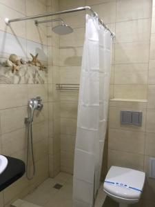 a bathroom with a shower with a toilet and a sink at Золотий ЛЕВ in Zatoka