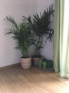 Gallery image of Olive Tree Cottage 2 in Néa Péramos +41 photos