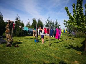 Gallery image of Albergue O Pombal in Sarria
