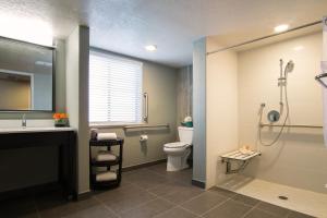 a bathroom with a toilet and a sink and a shower at Hotel Azure in South Lake Tahoe