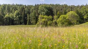 Paesaggio naturale nelle vicinanze dell'hotel