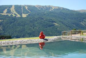 a bird sitting on the edge of a body of water at Hotel Zum Granitzl in Mariapfarr