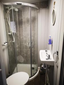 a bathroom with a shower and a toilet and a sink at Pen-Rhos luxury glamping "Cuckoo's Nest" in Llandrindod Wells
