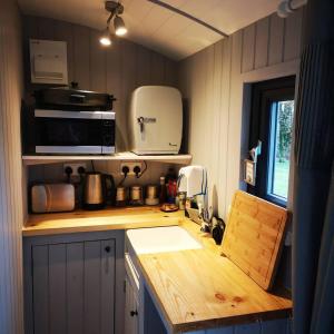 a small kitchen with a sink and a microwave at Pen-Rhos luxury glamping "Cuckoo's Nest" in Llandrindod Wells