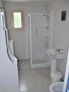 een badkamer met een douche, een toilet en een wastafel bij Gîtes La Barguelonne in Sainte-Juliette