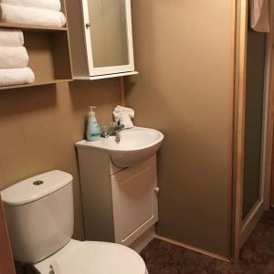 a bathroom with a toilet and a sink at Cloverleaf Cottages in Oxtongue Lake