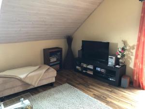ein Wohnzimmer mit einem Flachbild-TV und einem Sofa in der Unterkunft Ferienwohnung Tina in Pirna