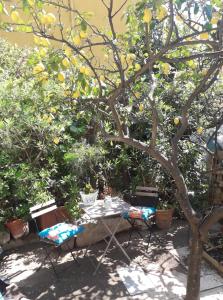 a table and chairs under a lemon tree at Villa la clémente in Menton