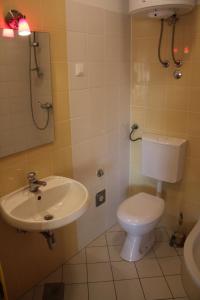 a bathroom with a toilet and a sink at Apartments Ante - 50m from the sea in Posedarje