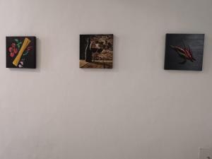 four pictures hanging on a white wall at Lilian City Center Studio in Graz