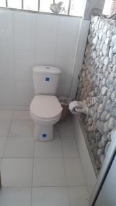 a bathroom with a toilet and a rock wall at Cabañas Refugio Salomon in Nuquí