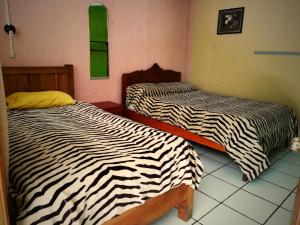 Una cama o camas en una habitación de Iguana Hostel