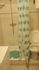 uma casa de banho com um chuveiro, um WC e uma cortina de chuveiro. em Chata Eva em Chrastava
