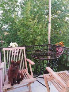 a black cat sitting in a chair on a porch at La Casa di Caterina in Lefkada Town