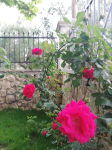 a garden with pink roses and a fence at La Casa di Caterina in Lefkada Town